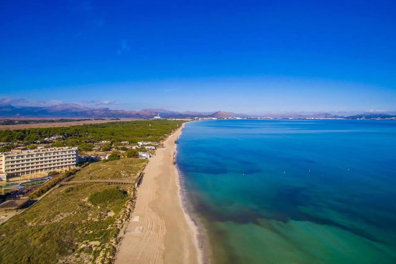 شقة Ideal Property Mallorca - Casa Susana كان بيكافورت إسبانيا